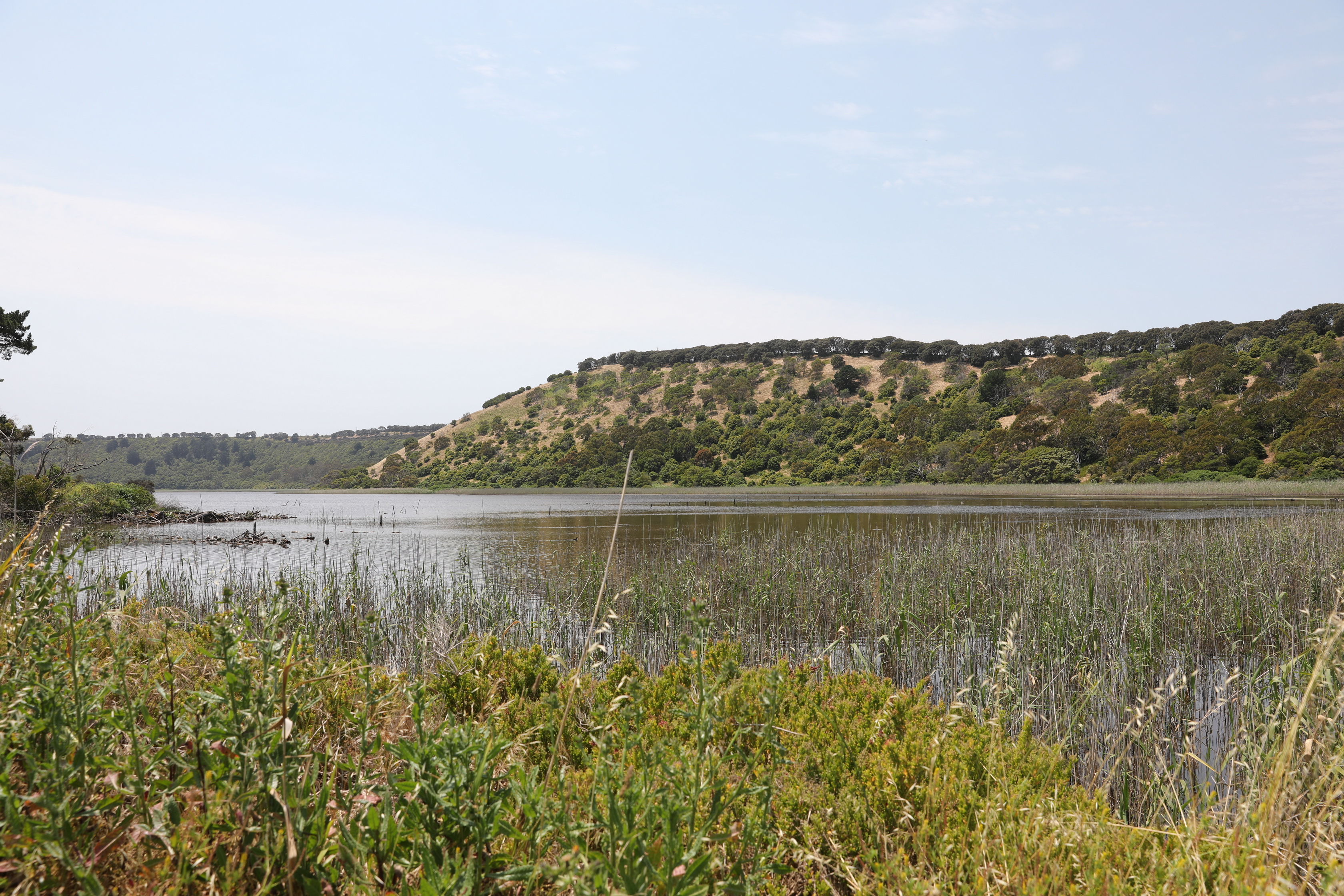 Tower Hill Wildlife Reserve